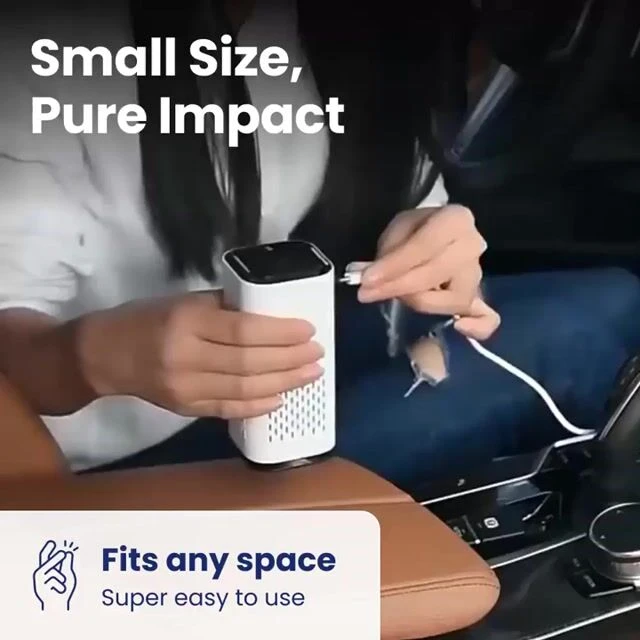 DustaClean image